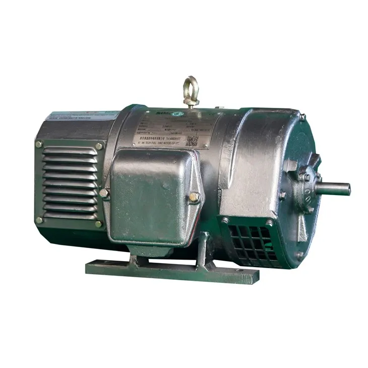 Máy phát điện động cơ DC chải