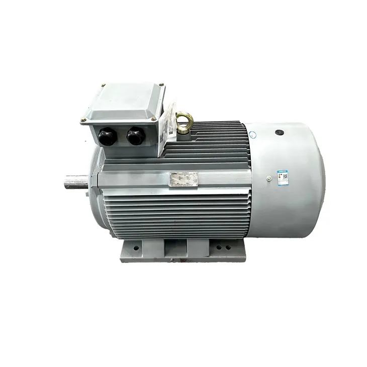 Động cơ GB 18613
