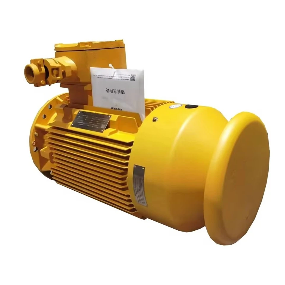Wound Rotor Induction Generator